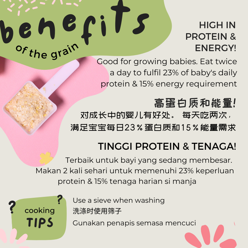 Gnubkins Basic Range - 100% Natural Grains for Kids