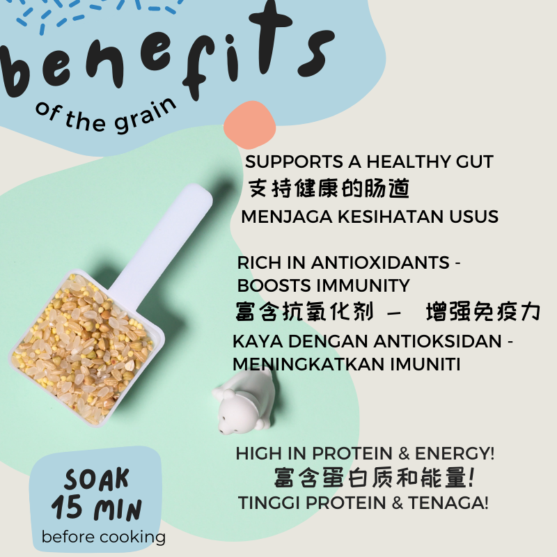 Gnubkins Basic Range - 100% Natural Grains for Kids