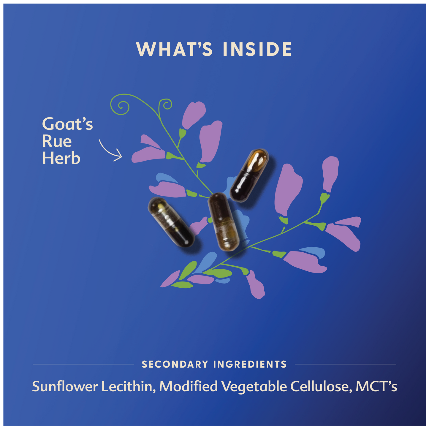 Motherlove Goat's Rue Liquid Capsules