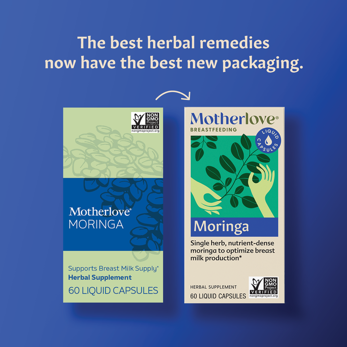 Motherlove Moringa (Malunggay) Liquid Capsules