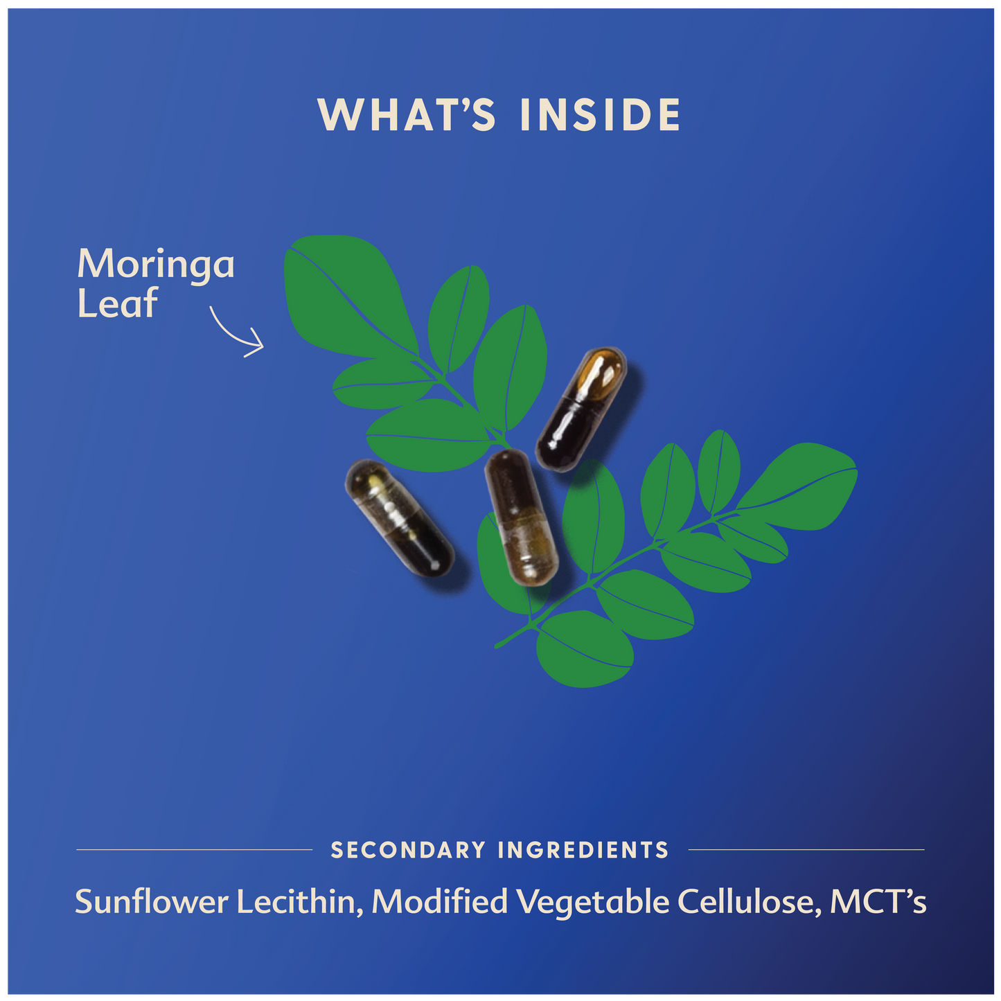 Motherlove Moringa (Malunggay) Liquid Capsules