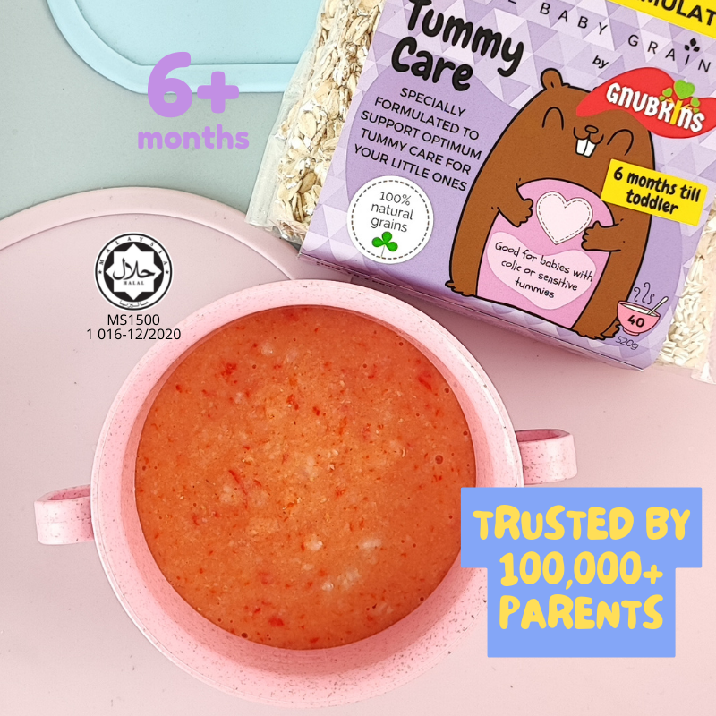 Gnubkins Nutritionist Formulated - 100% Organic Multigrains for Babies and Kids