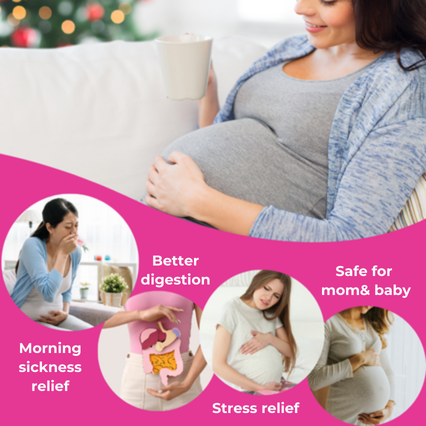 Secrets of Tea No To Morning Sickness Organic Tea