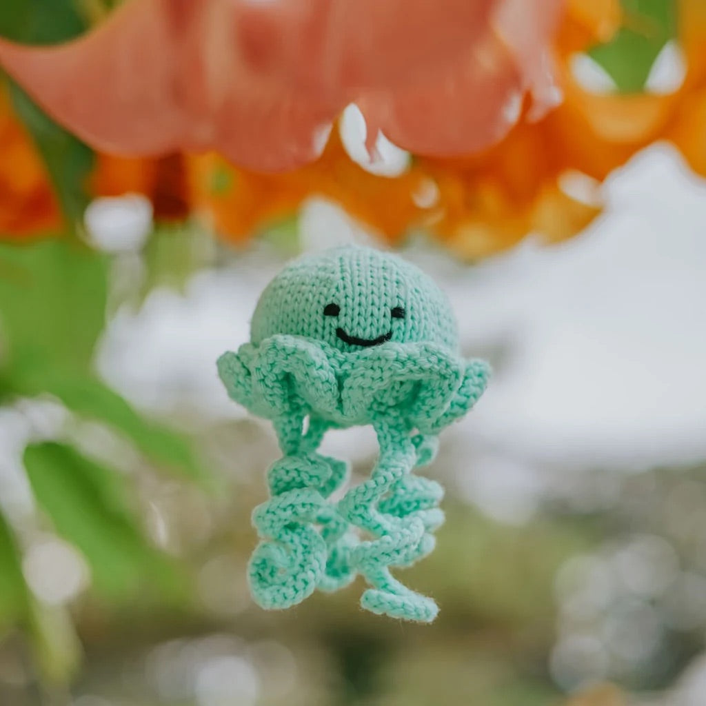 The Knitting Expedition Jellyfish