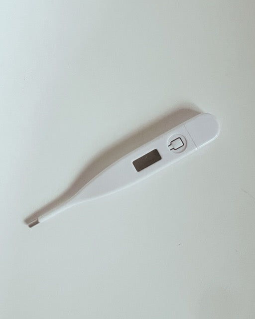 Digital Thermometer