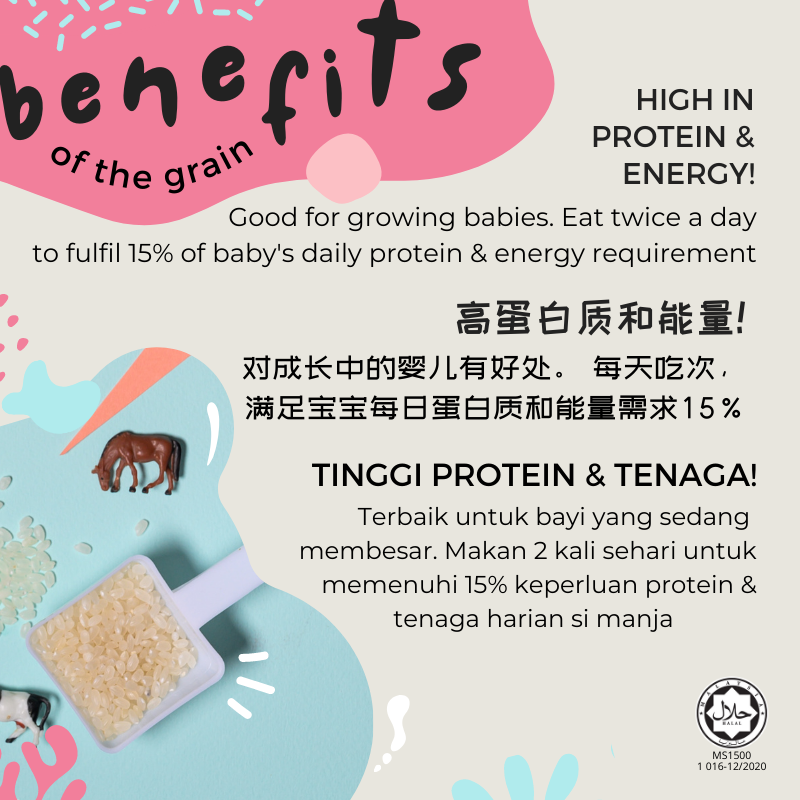 Little Baby Grains Basic Range - 100% Natural Grains for Kids