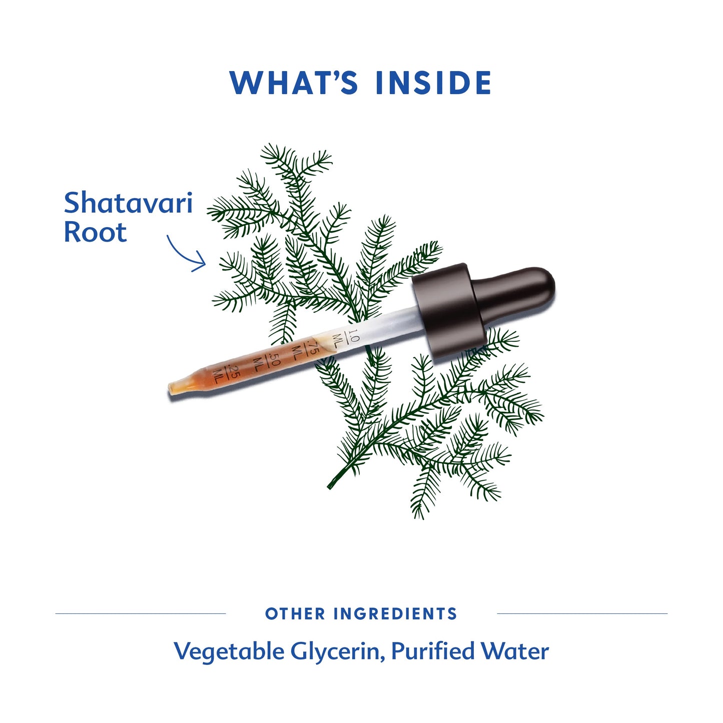 Motherlove Shatavari Liquid Tincture