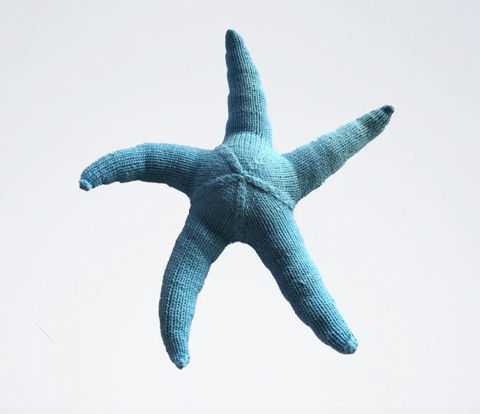 The Knitting Expedition Giant Sea Star