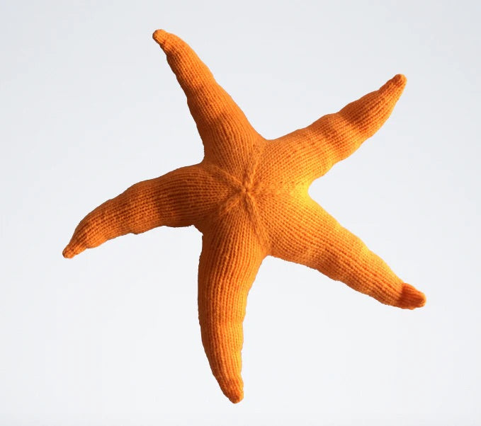 The Knitting Expedition Giant Sea Star