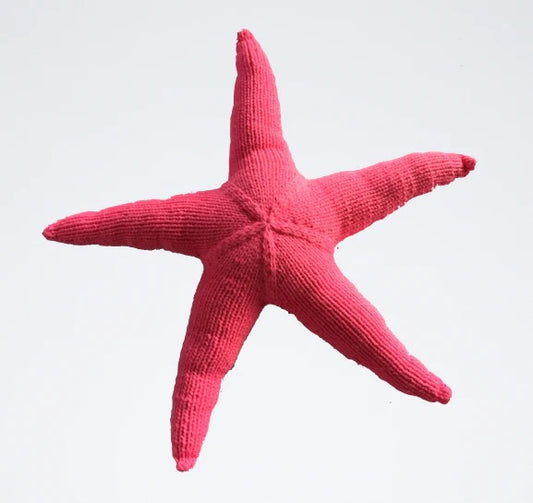 The Knitting Expedition Giant Sea Star